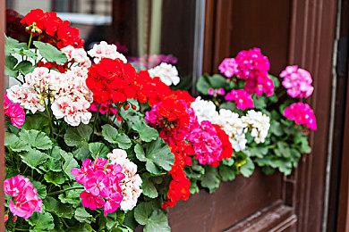 《漫威争锋》PC配置公开 推荐RTX 2060 Super